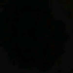 Meet your Posher, Mandy